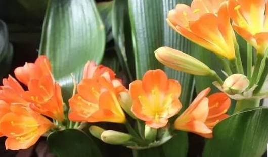 Tác dụng bất ngờ của việc thêm muối vào bia, cứ 10 người thì 9 người không biết có tác dụng gì, nhưng ai đã từng sử dụng đều nói rằng tốt-7