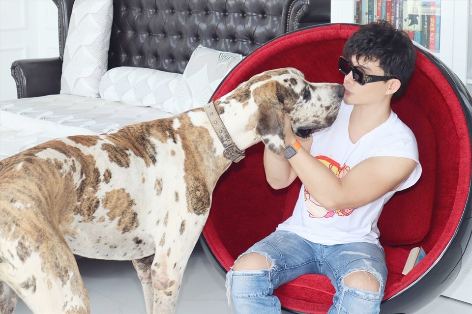 Nathan Lee hé lộ không gian sống khoảng 600 tỉ đồng ven biển Vũng Tàu-7