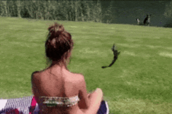 Clip: Đang làm con mồi, chuột bạch phản đòn cắn nát đầu rắn hổ mang-1