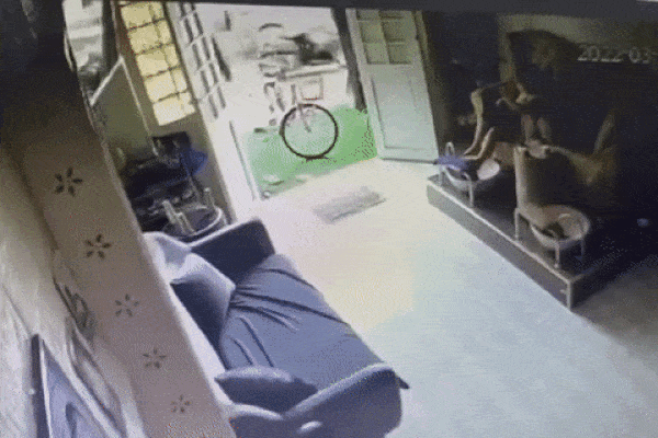 Bé trai đang ở một mình trong nhà thì gã đàn ông lạ bất ngờ xuất hiện, theo dõi camera mà bố mẹ sợ 