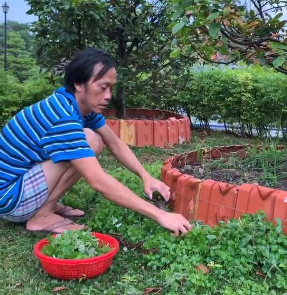Hình ảnh mới nhất của Hoài Linh: Gầy đen, để râu dài, chăm chỉ làm vườn-3