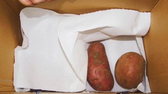 Hóa ra bảo quản khoai tây không khó chút nào, dạy bạn 4 phương pháp làm dân dã, để cả năm không bị thối, không nảy mầm-4