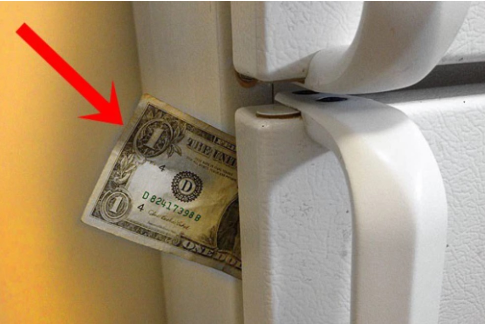 Nhét tờ tiền vào khe cửa tủ lạnh: Phép thử quan trọng giúp tiết kiệm cả triệu tiền điện, nhiều nhà chưa biết-1