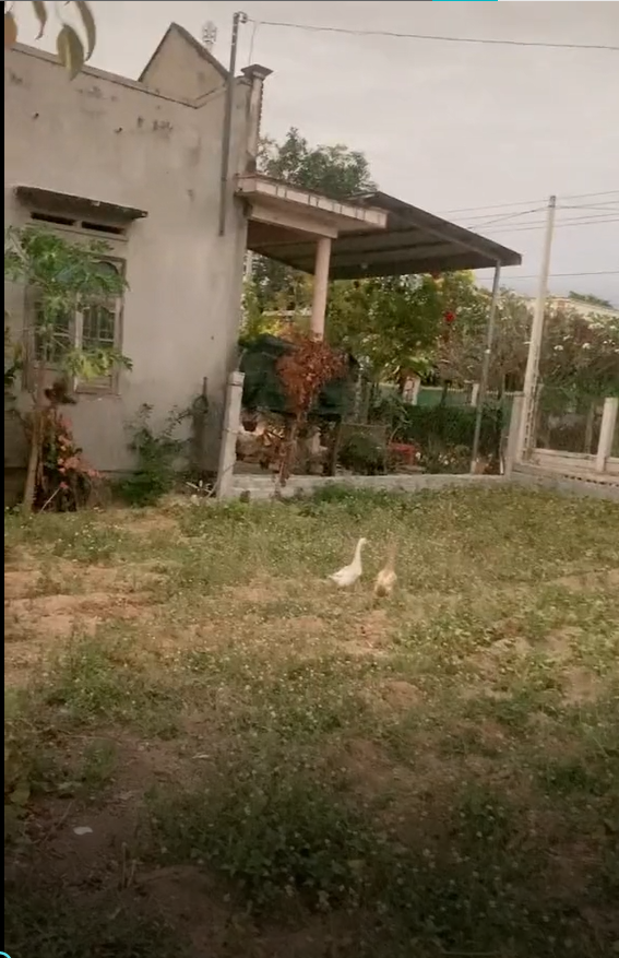 Nữ tiktoker lập kế hoạch mua xe nửa tỉ chỉ với 150 triệu mà không cần vay ngân hàng gây tranh cãi-2