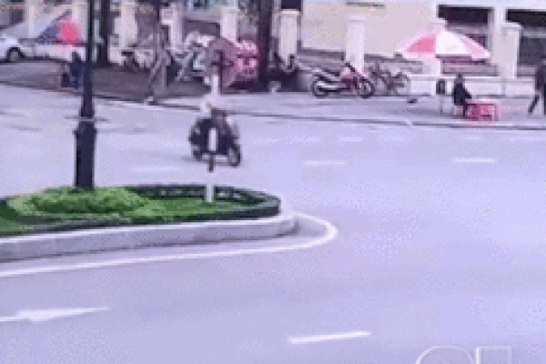 Tránh chó chạy sang đường, ô tô lao thẳng vào quán cà phê-1