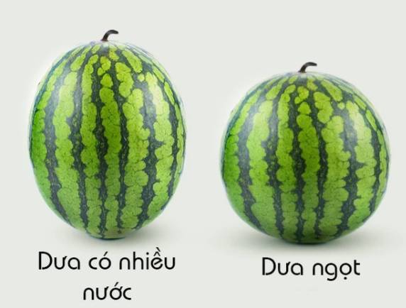 Chọn dưa hấu không cần vỗ vào quả, cứ nhìn vào 5 dấu hiệu này trên vỏ là biết ngon hay không-4