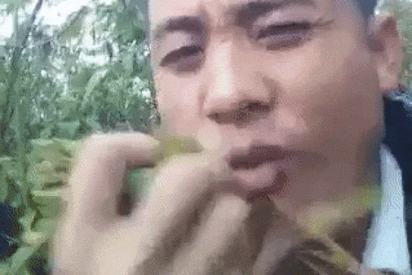 Qua đường không quan sát, bé trai suýt nằm gọn dưới gầm ô tô, biểu cảm như mất hồn khiến tài xế vừa thương vừa giận-2