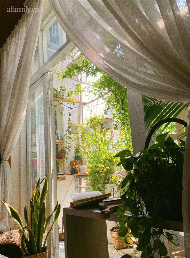 Cô gái 9x ở Quảng Ngãi biến hình” phòng trọ xanh tươi mát mắt ai nhìn cũng mê-9