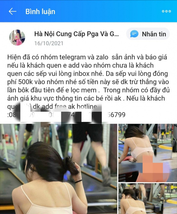 Bi hài chuyện sưu tập gà Tây-4