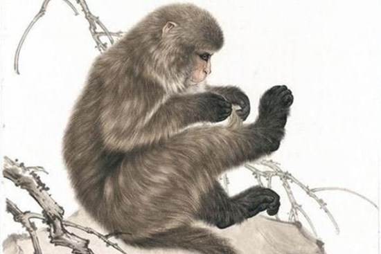 Tử vi 12 con giáp thứ 5 ngày 10/3/2022: Tuổi Tý đường tài lộc bấp bênh, Tỵ có thể kiếm được số tiền lớn