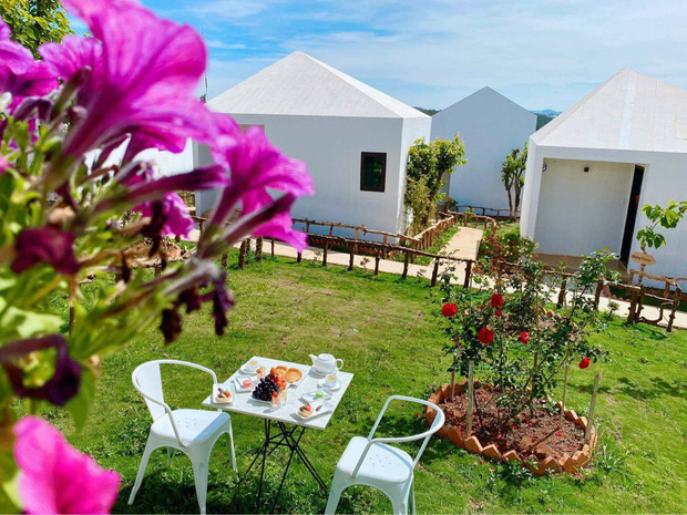 Lý Nhã Kỳ và thú vui tậu BĐS không hồi kết: Từ bạch dinh dát vàng đến resort triệu đô, thậm chí cả tòa chung cư 25 tầng cũng về tay chị đại!-25