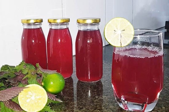 Đun tía tô lấy nước pha thêm chút mật ong uống trong một tuần vào đúng thời điểm này, chị em sẽ giảm cân, trắng da, ai đang là F0 cũng được hưởng lợi