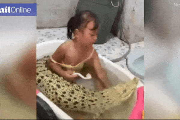 Hôn cá sấu, người đàn ông nhận cái kết đầy đau đớn-1