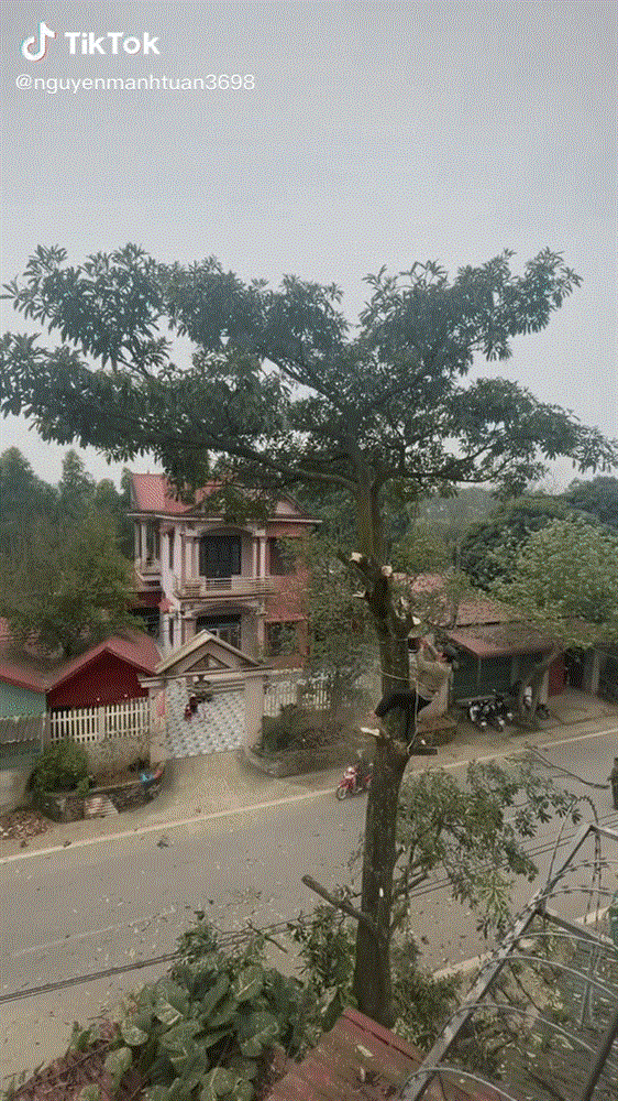 Đang đi xe máy trên đường, người đàn ông suýt mất mạng vì họa trên trời rơi xuống-1