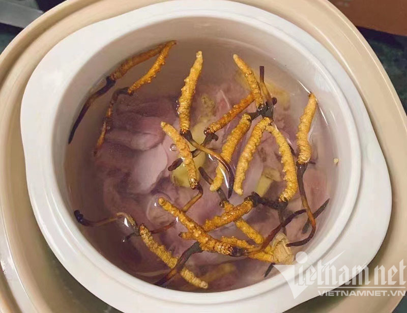 Hồi sức hậu F0, ăn tô cháo sâu cỏ giá 3-5 triệu đồng-4