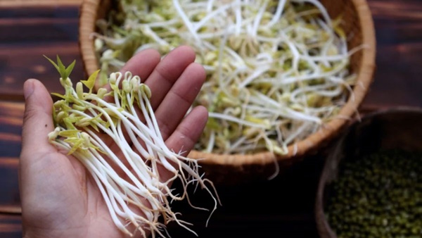 Mua giá đỗ về để hay bị thâm đen, nát ủng, mách chị em tuyệt chiêu bảo quản cả tuần vẫn tươi ngon-2