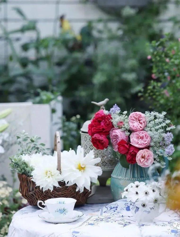 Khu vườn hoa trên tầng 32 của chàng trai trẻ khiến các chị em phải xuýt xoa bởi tài chăm bón quá đỉnh-29