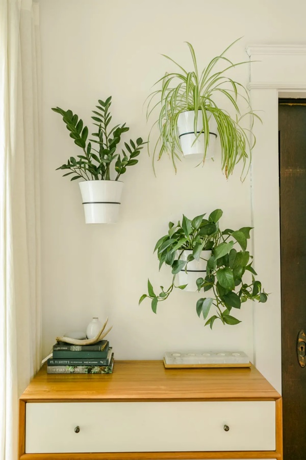 Đưa cả khu vườn nhỏ vào nhà, không gian sống xanh trong lành,&nbsp;bình yên quả là chốn đi về lý tưởng-5