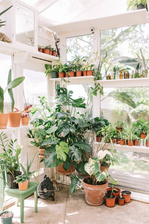 Đưa cả khu vườn nhỏ vào nhà, không gian sống xanh trong lành,&nbsp;bình yên quả là chốn đi về lý tưởng-24