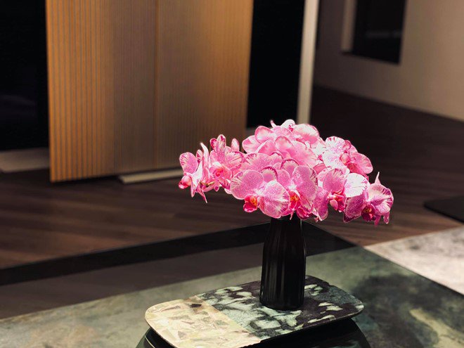 Không hổ danh là BTV VTV siêu giàu, biệt thự của Ngọc Trinh đẹp đẳng cấp, vạn người mê-12