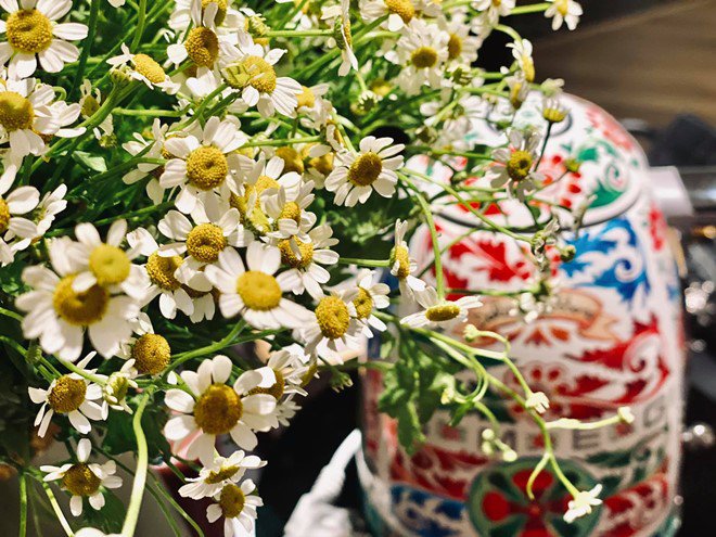 Không hổ danh là BTV VTV siêu giàu, biệt thự của Ngọc Trinh đẹp đẳng cấp, vạn người mê-8