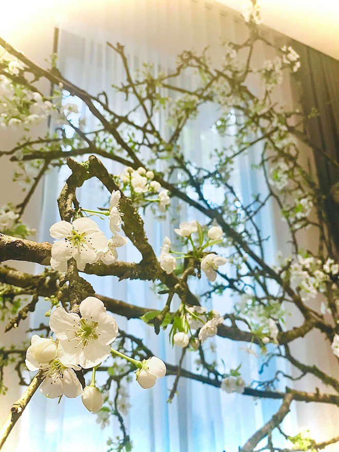 Không hổ danh là BTV VTV siêu giàu, biệt thự của Ngọc Trinh đẹp đẳng cấp, vạn người mê-13