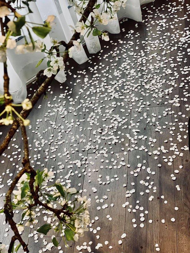 Không hổ danh là BTV VTV siêu giàu, biệt thự của Ngọc Trinh đẹp đẳng cấp, vạn người mê-14