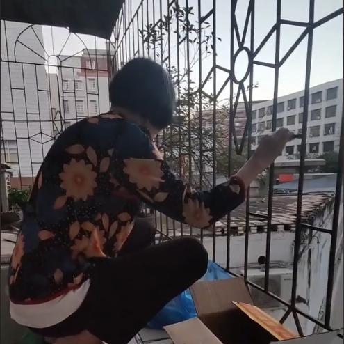 Thấy mẹ chồng ngồi chồm hổm hơn 1 tiếng ngoài ban công, con dâu hiếu kỳ lại gần mới phát hiện sự thật đầy ngỡ ngàng-2