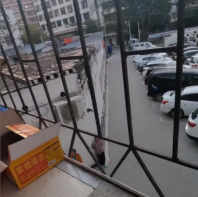 Thấy mẹ chồng ngồi chồm hổm hơn 1 tiếng ngoài ban công, con dâu hiếu kỳ lại gần mới phát hiện sự thật đầy ngỡ ngàng-3