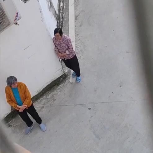 Thấy mẹ chồng ngồi chồm hổm hơn 1 tiếng ngoài ban công, con dâu hiếu kỳ lại gần mới phát hiện sự thật đầy ngỡ ngàng-4