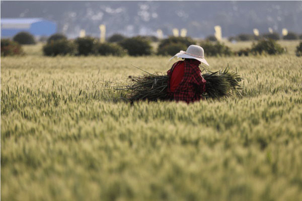 Tên cướp giết 8 người đi phẫu thuật thẩm mỹ hòng thoát tội-4