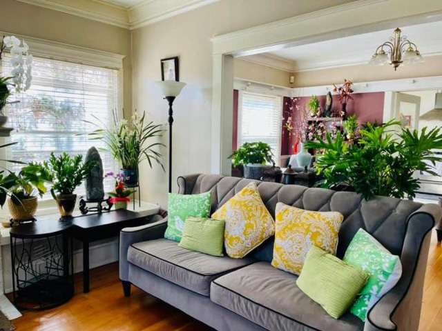 Cận cảnh căn nhà rất đẹp bị đồn đang tranh chấp của danh hài Thúy Nga tại Mỹ-2