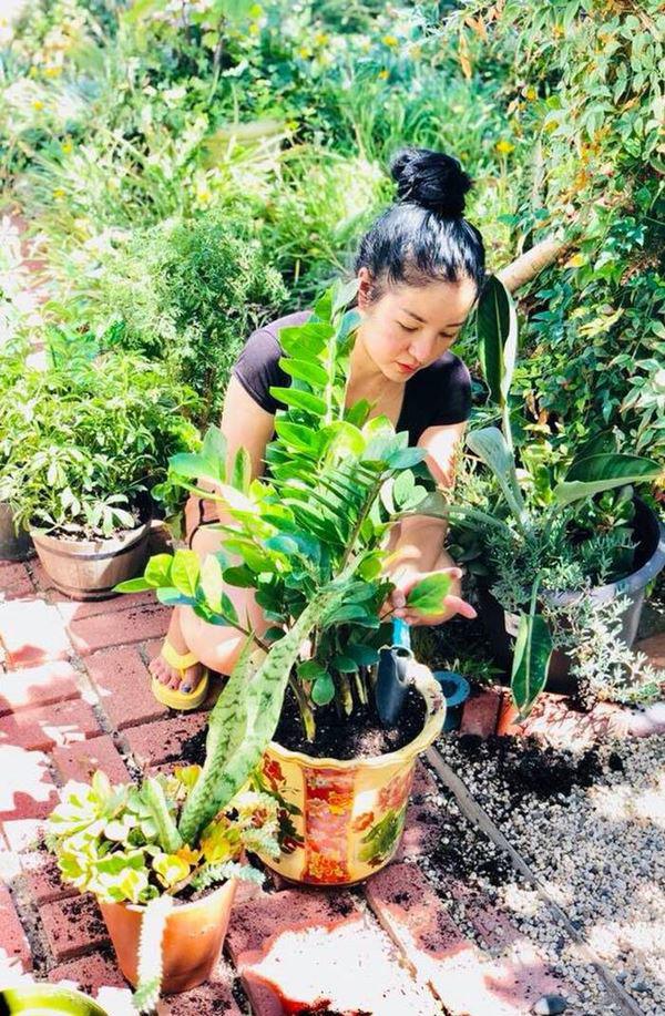 Cận cảnh căn nhà rất đẹp bị đồn đang tranh chấp của danh hài Thúy Nga tại Mỹ-12