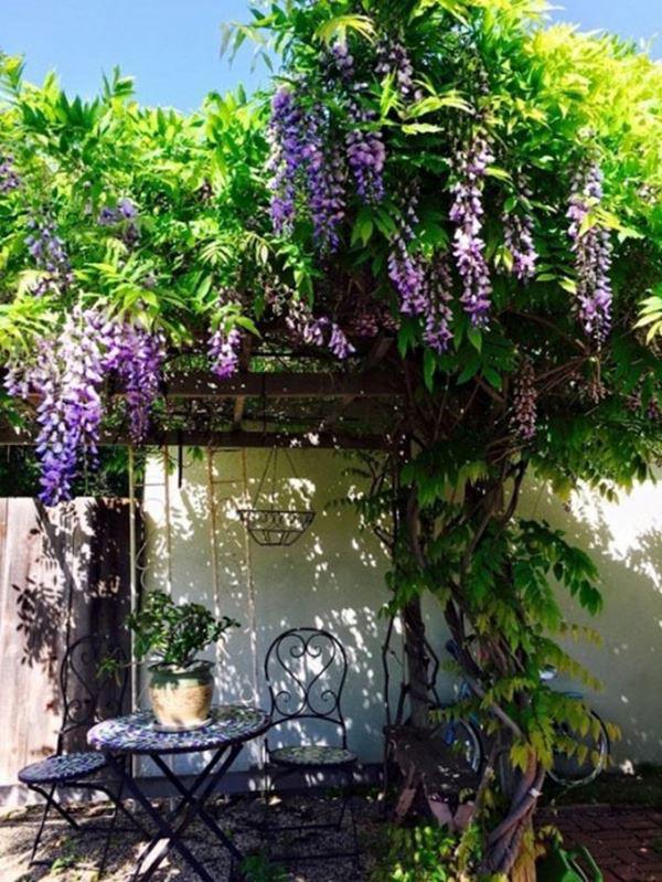 Cận cảnh căn nhà rất đẹp bị đồn đang tranh chấp của danh hài Thúy Nga tại Mỹ-13