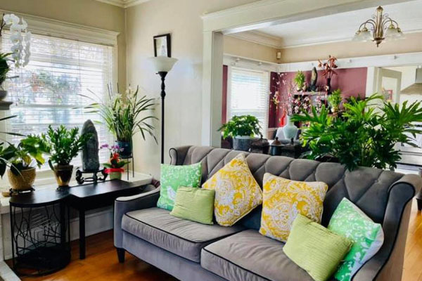 Thúy Nga lên tiếng vụ bị cảnh sát trục xuất khỏi nhà: Đây là sai lầm lớn nhất đời tôi-4