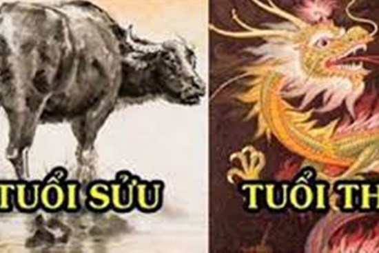 Tử vi tuần mới từ ngày 14-20/3/2022 của 12 con giáp: Sửu có quý nhân nâng đỡ, Thìn tài lộc hanh thông
