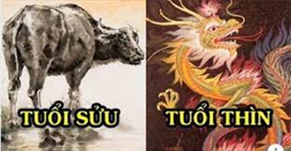 Tử vi tuần mới từ ngày 14-20/3/2022 của 12 con giáp: Sửu có quý nhân nâng đỡ, Thìn tài lộc hanh thông-1