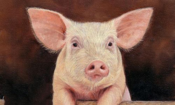 Định mệnh an bài: 3 con giáp có làm đâu thắng đó, tiền bạc rủng rỉnh trong 15 ngày tới-1