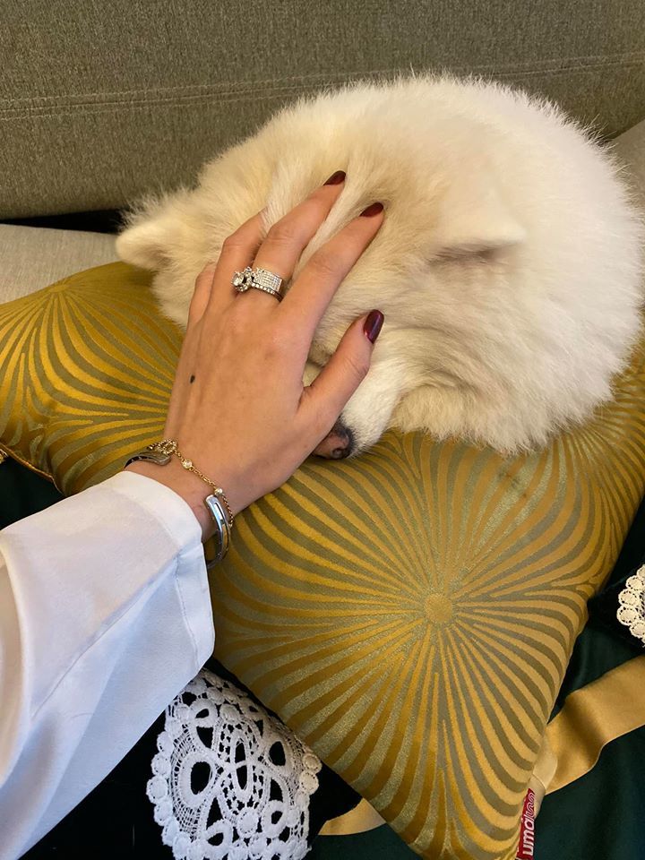 Căn nhà hoành tráng như khách sạn 5 sao của Minh Hà, nữ MC Cà phê sáng của VTV-27