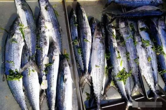 Khi mua cá thu có sự khác biệt lớn giữa mắt to và mắt nhỏ, nhớ mẹo sau để mua được cá thu tươi ngon vừa miệng-3