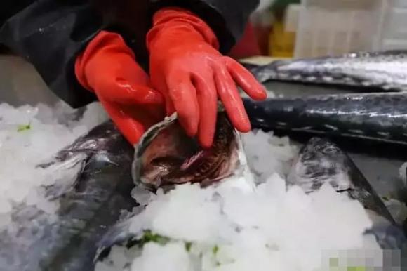 Khi mua cá thu có sự khác biệt lớn giữa mắt to và mắt nhỏ, nhớ mẹo sau để mua được cá thu tươi ngon vừa miệng-4