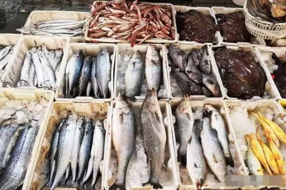 Khi mua cá thu có sự khác biệt lớn giữa mắt to và mắt nhỏ, nhớ mẹo sau để mua được cá thu tươi ngon vừa miệng-7