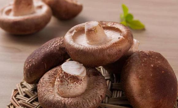 Mua nấm đông cô tươi không thể chỉ nhìn kích thước, hãy chú ý 4 điểm này thì nấm mua về là nấm tươi và nguyên chất-4