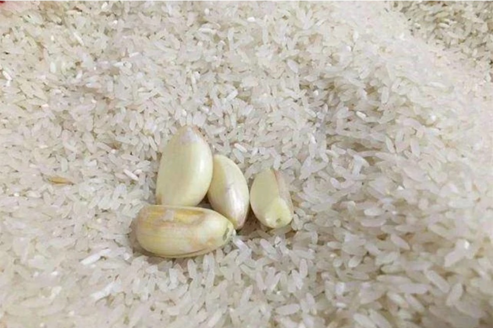 Gạo mua về hay bị mọt, làm theo cách này để lâu không sợ hỏng, mối mọt tránh xa-2