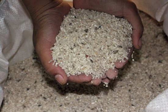 Gạo mua về hay bị mọt, làm theo cách này để lâu không sợ hỏng, mối mọt tránh xa