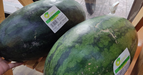 Bà nội trợ choáng với quả dưa hấu giá hơn 700.000 đồng-2