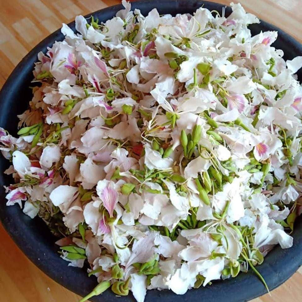 Lại thêm loại hoa đặc sản của Tây Bắc xuống phố Hà Nội, giá 150k/kg được nhiều người lùng mua về ăn-4