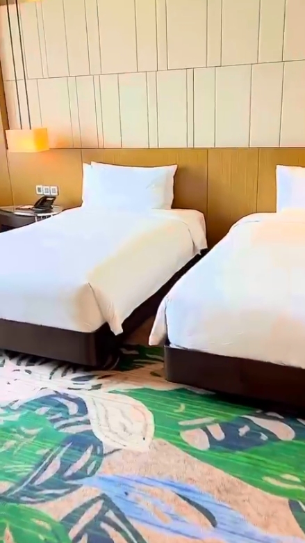 Vợ chồng nữ đại gia Di Băng chi 15 triệu/đêm ở phòng Tổng thống nhưng lại thèm 1 món bèo bọt được cất trong tủ siêu sang của khách sạn-2