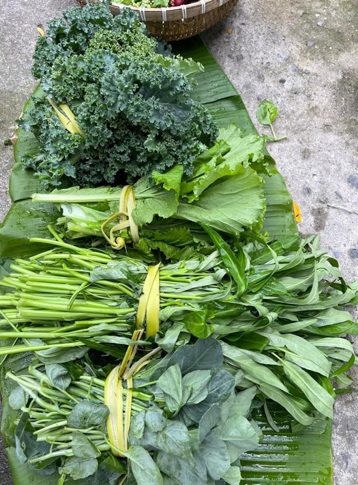 Cùng ca sĩ Mỹ Lệ thu hoạch khu vườn đầy hoa trái ăn không xuể-7