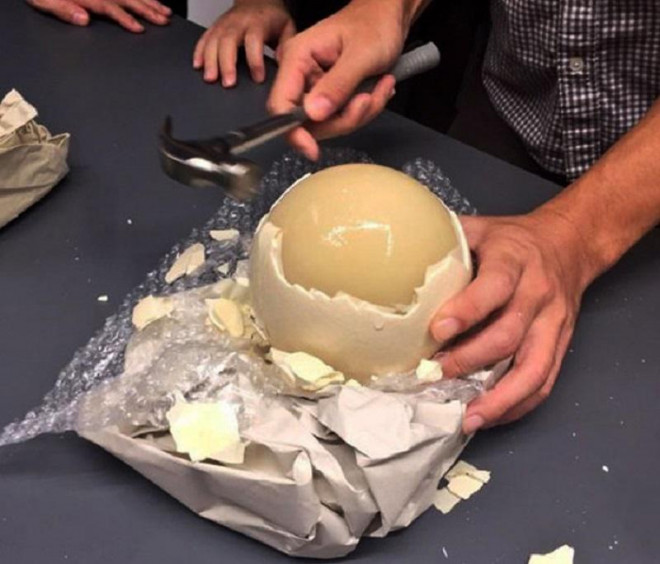 Đầu tháng lương về, ăn thử trứng đà điểu siêu to khổng lồ độc lạ nặng gần 2kg/quả-7